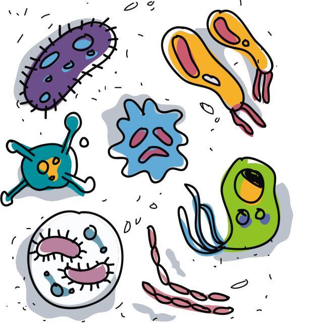 白喉疫情在印尼 了解這一生物威脅，掌握關(guān)鍵預(yù)防方法